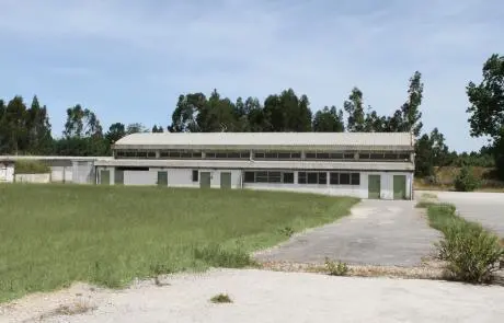 idD – Desmilitarização