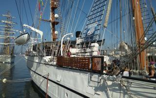 Empresas portuguesas de Defesa apresentam-se no Brasil a bordo do navio-escola Sagres